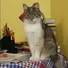 Отзыв от Арина Шубина